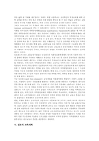[교육개혁]미국의 교육개혁, 영국의 교육개혁, 뉴질랜드의 교육개혁, 일본의 교육개혁, 한국의 교육개혁을 통해 본 교육개혁의 시사점-7