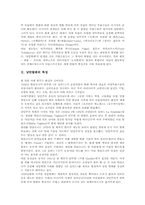[발레]낭만발레의 특징, 클래식발레(고전발레)의 특징, 모던발레(현대발레)의 특징, 네오클래식발레(신고전발레)의 특징, 한국 발레의 특징 분석-3