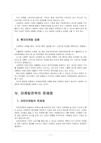 [LG화학 기업분석] LG화학 마케팅전략의 문제점과 해결방안 보고서-11
