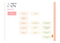 [LG화학 기업분석] LG화학 마케팅전략의 문제점과 해결방안 PPT자료-13