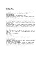 [국제경영] 국제경영의 다양한 사례 분석-12