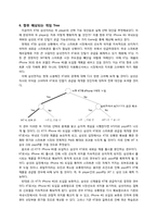 [기업경제학] 순차적 게임을 통한 KT와 삼성전자간의 갈등분석-8