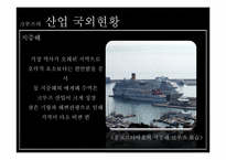 [관광학원론] 크루즈(Cruise) 사례 분석-12