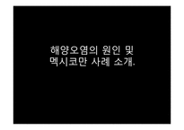 [미래환경] 해양오염과 예방 및 완화를 위한 대책(미국 멕시코만 원유유출 사고를 통해 본 해양오염의 심각성과 그 방지책)-3