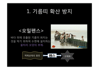 [미래환경] 해양오염과 예방 및 완화를 위한 대책(미국 멕시코만 원유유출 사고를 통해 본 해양오염의 심각성과 그 방지책)-9