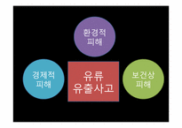[미래환경] 해양오염과 예방 및 완화를 위한 대책(미국 멕시코만 원유유출 사고를 통해 본 해양오염의 심각성과 그 방지책)-14