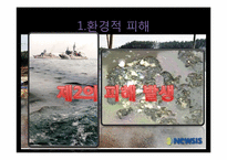 [미래환경] 해양오염과 예방 및 완화를 위한 대책(미국 멕시코만 원유유출 사고를 통해 본 해양오염의 심각성과 그 방지책)-16