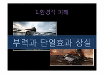 [미래환경] 해양오염과 예방 및 완화를 위한 대책(미국 멕시코만 원유유출 사고를 통해 본 해양오염의 심각성과 그 방지책)-17