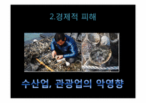 [미래환경] 해양오염과 예방 및 완화를 위한 대책(미국 멕시코만 원유유출 사고를 통해 본 해양오염의 심각성과 그 방지책)-18