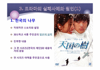 [대중예술] 한류 드라마에 관한 고찰-12