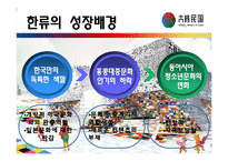 [문화와인간사회] 한류의 현재와 앞으로의 전망에 관한 분석-5