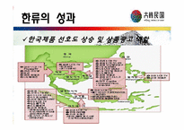 [문화와인간사회] 한류의 현재와 앞으로의 전망에 관한 분석-9
