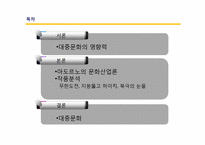 대중문화에 대한 고찰-2