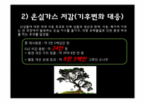 [시민사회와시민운동] 사회적 기업에 대한 개념과 사례 분석-19