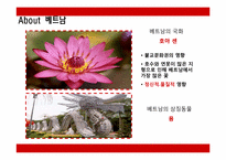 [다문화사회와에티켓] 베트남의 에티켓 문화-5