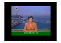 [정치학개론] 북한의 핵도발과 미국의 대북체제-4