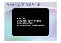 케이블 리얼리티 프로그램의 선정성과 폭력성에 관한 고찰-10