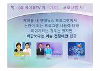 케이블 리얼리티 프로그램의 선정성과 폭력성에 관한 고찰-19