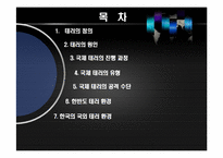 [국가정보론] 국제 테러사례의 유형과 특징 및 시사점-2