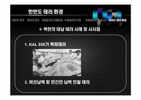 [국가정보론] 국제 테러사례의 유형과 특징 및 시사점-11
