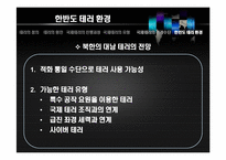 [국가정보론] 국제 테러사례의 유형과 특징 및 시사점-12