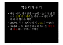 [신문보도편집] 막걸리의 세계화 기획기사 기획안-9