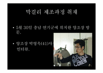 [신문보도편집] 막걸리의 세계화 기획기사 기획안-12
