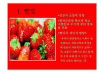 [색채학] 색상이 인체에 미치는 다양한 영향-9