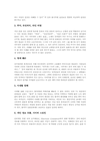 인터넷(사이버공간)불건전정보 유형, 인터넷(사이버공간)불건전정보 내용, 해외 인터넷(사이버공간)불건전정보 규제사례, 인터넷 불건전정보 근절방안-7