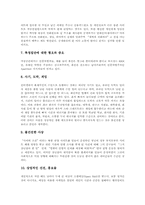 인터넷(사이버공간)불건전정보 유형, 인터넷(사이버공간)불건전정보 내용, 해외 인터넷(사이버공간)불건전정보 규제사례, 인터넷 불건전정보 근절방안-8