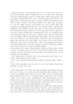 구성주의(구성주의학습이론)목적,중요성, 구성주의(구성주의학습이론)교수학습원리, 구성주의(구성주의학습이론)수업사례, 구성주의 교수전략,제언-6