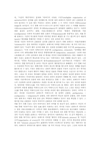 [시간]시간 개념, 시간 종류, 시간과 공간, 시간과 존재, 시간과 우주, 시간과 하나님, 시간과 서정시, 시간과 무의미시, 시간과 이야기-16