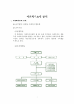 사회복지 조직 분석-3