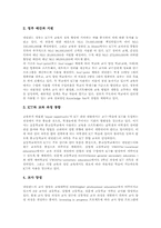 미국,네덜란드 ICT활용교육(정보통신기술), 캐나다,핀란드 ICT활용교육(정보통신기술), 싱가폴,호주 ICT활용교육, 일본,한국 ICT활용교육-5