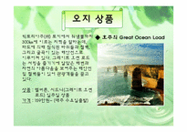 [벤처경영] 오지탐험대 사업계획서-8