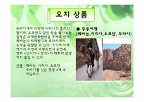 [벤처경영] 오지탐험대 사업계획서-10