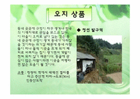 [벤처경영] 오지탐험대 사업계획서-11