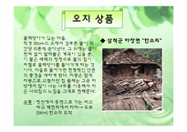 [벤처경영] 오지탐험대 사업계획서-12