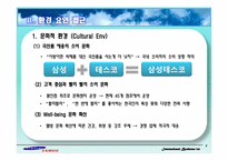 [국제경영학] 삼성테스코의 기업 분석-4