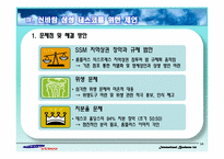 [국제경영학] 삼성테스코의 기업 분석-15