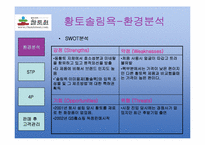 [소비자와마케팅] 황토살림욕의 성공사례(참토원을 중심으로)-5