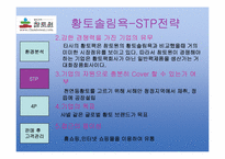 [소비자와마케팅] 황토살림욕의 성공사례(참토원을 중심으로)-9