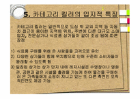 [유통환경론] Category Killer(카테고리킬러)의 이해와 전략 분석-8