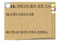 [유통환경론] Category Killer(카테고리킬러)의 이해와 전략 분석-17