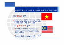 [국제경영론] 개발도상국에서의 FDI-10