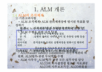 [위험관리론] ALM(asset liability management)개론과 기법 및 전략-5