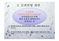 [위험관리론] ALM(asset liability management)개론과 기법 및 전략-7