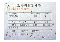 [위험관리론] ALM(asset liability management)개론과 기법 및 전략-8