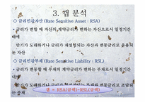[위험관리론] ALM(asset liability management)개론과 기법 및 전략-15