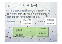 [위험관리론] ALM(asset liability management)개론과 기법 및 전략-16